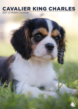 CalendarsRUs Cavalier King Charles Spaniel A3 Kalender 2027