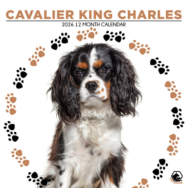 CalendarsRUs Cavalier King Charles Spaniel Kalender 2026