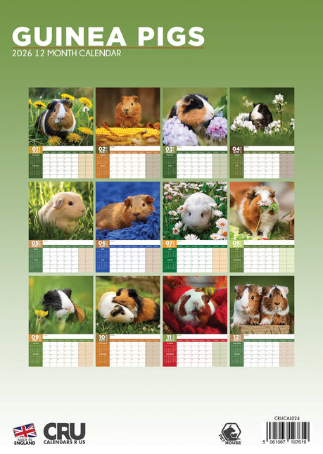 CalendarsRUs Cavia A3 Kalender 2026
