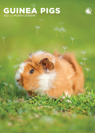 CalendarsRUs Cavia A3 Kalender 2027