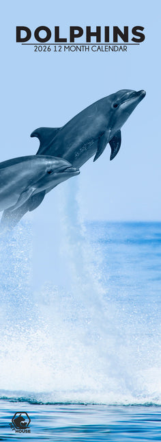 CalendarsRUs Dolfijnen Slimline Kalender 2026
