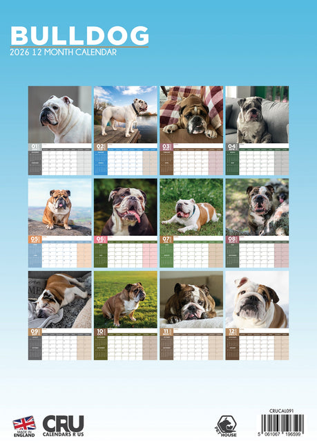 CalendarsRUs Engelse Bulldog A3 Kalender 2026