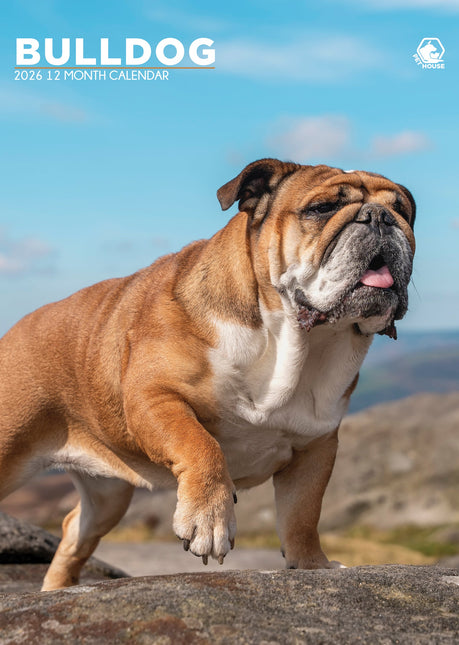 CalendarsRUs Engelse Bulldog A3 Kalender 2026