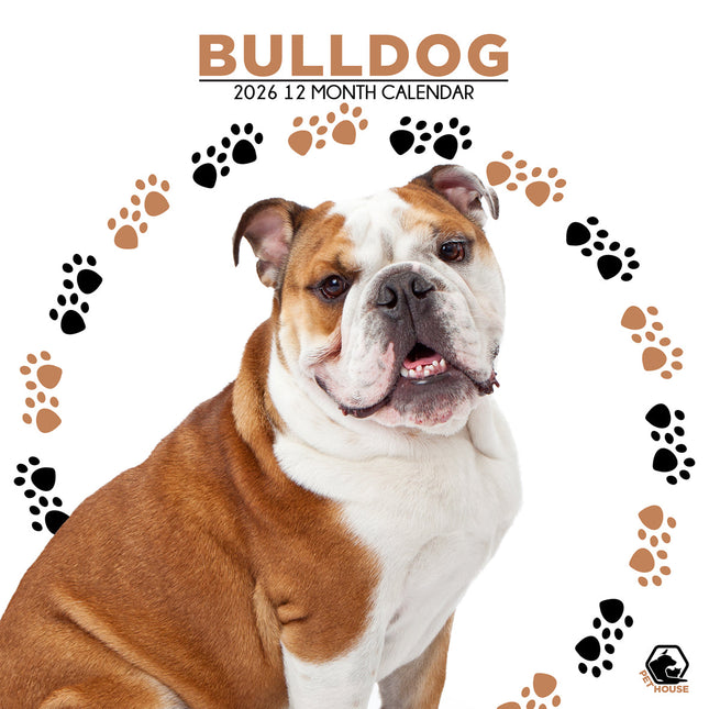CalendarsRUs Engelse Bulldog Kalender 2026