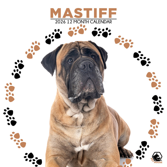 CalendarsRUs Engelse Mastiff Kalender 2026