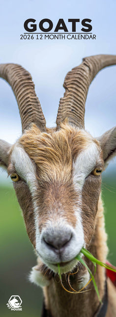 CalendarsRUs Geiten Slimline Kalender 2026