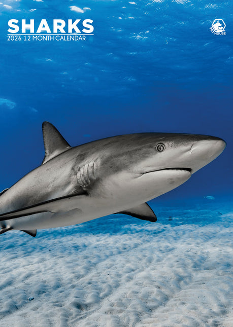 CalendarsRUs Haaien A3 Kalender 2026