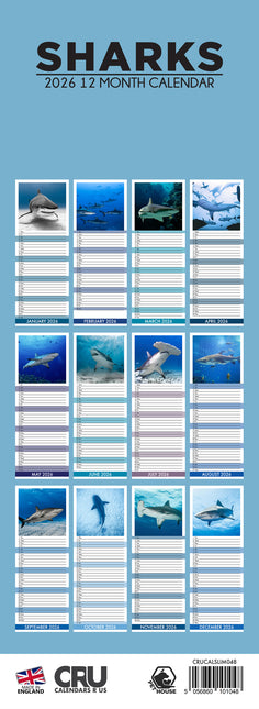 CalendarsRUs Haaien Slimline Kalender 2026