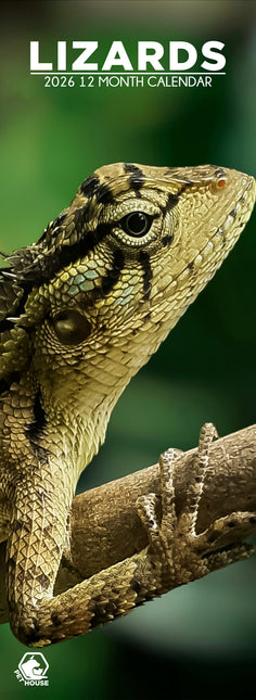 CalendarsRUs Hagedissen Slimline Kalender 2026