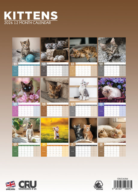 CalendarsRUs Kittens A3 Kalender 2026