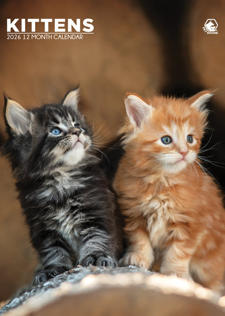 CalendarsRUs Kittens A3 Kalender 2026