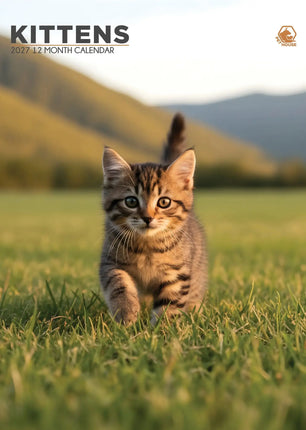 CalendarsRUs Kittens A3 Kalender 2027