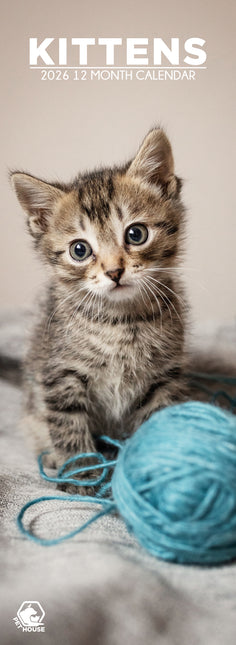 CalendarsRUs Kittens Slimline Kalender 2026