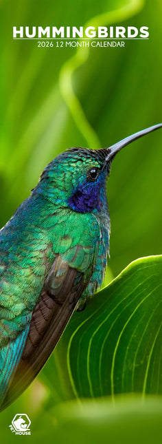 CalendarsRUs Kolibries Slimline Kalender 2026