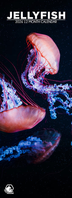 CalendarsRUs Kwallen Slimline Kalender 2026