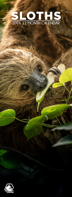 CalendarsRUs Luiaard Slimline Kalender 2026