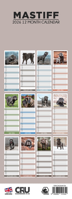 CalendarsRUs Mastino Napoletano Slimline Kalender 2026