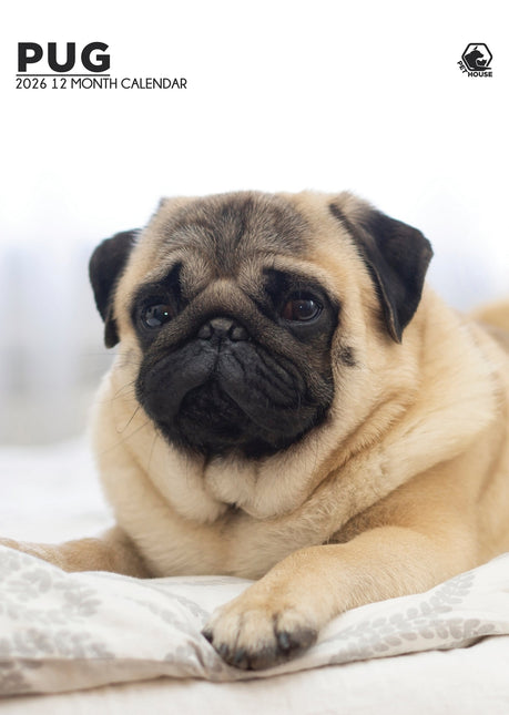 CalendarsRUs Mopshond A3 Kalender 2026