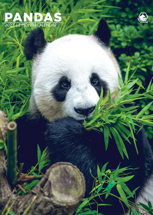 CalendarsRUs Panda A3 Kalender 2027