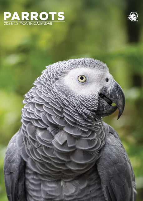 CalendarsRUs Papegaaien A3 Kalender 2026