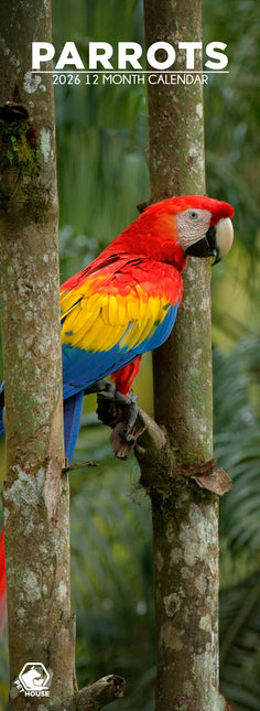 CalendarsRUs Papegaaien Slimline Kalender 2026