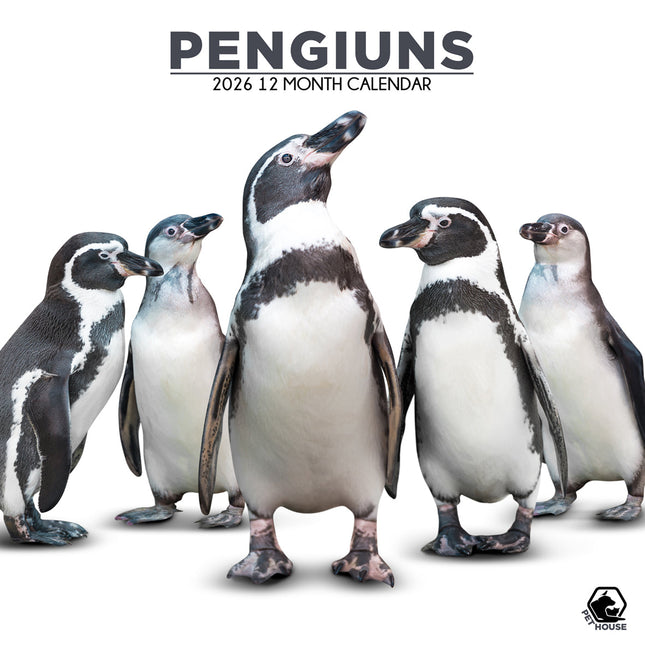 CalendarsRUs Pinguins Kalender 2026
