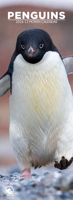 CalendarsRUs Pinguins Slimline Kalender 2026