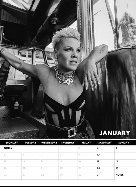 CalendarsRUs Pink A3 Kalender 2026