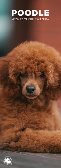 CalendarsRUs Poedel Slimline Kalender 2026