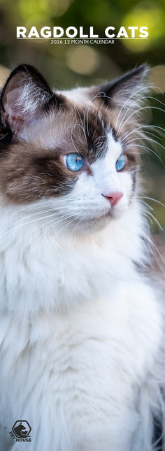 CalendarsRUs Ragdoll Slimline Kalender 2026