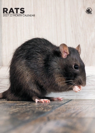 CalendarsRUs Ratten A3 Kalender 2027