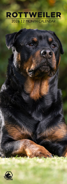 CalendarsRUs Rottweiler Slimline Kalender 2026