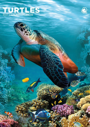CalendarsRUs Schildpadden A3 Kalender 2027