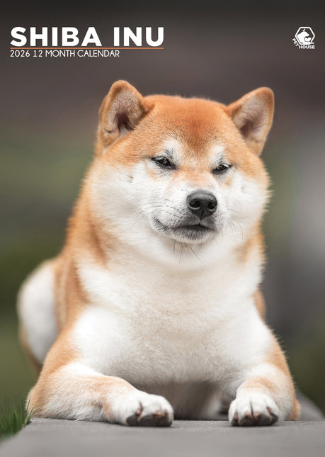 CalendarsRUs Shiba Inu A3 Kalender 2026