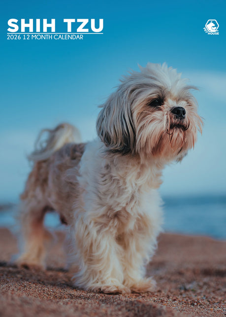 CalendarsRUs Shih Tzu A3 Kalender 2026