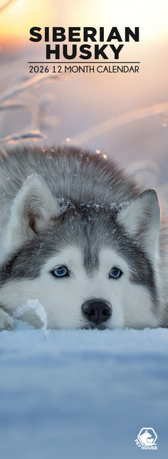 CalendarsRUs Siberian Husky Slimline Kalender 2026