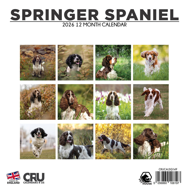 CalendarsRUs Springer Spaniel Kalender 2026