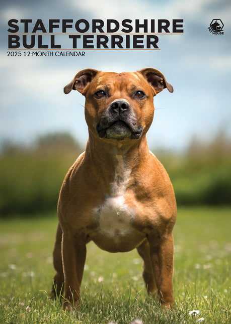 CalendarsRUs Staffordshire Bull Terrier A3 Kalender 2026