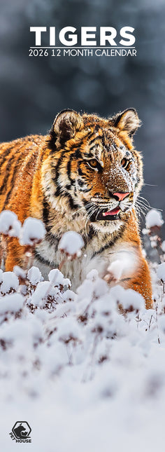 CalendarsRUs Tijger Slimline Kalender 2026