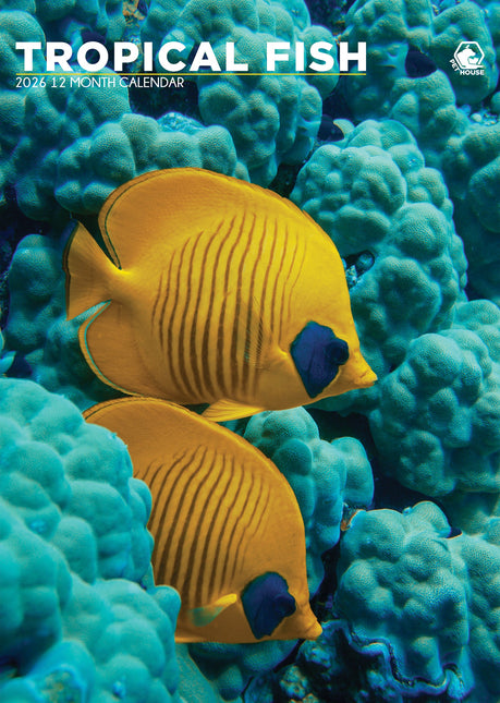 CalendarsRUs Tropische Vissen A3 Kalender 2026