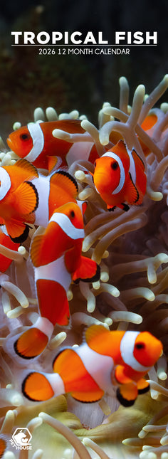 CalendarsRUs Tropische Vissen Slimline Kalender 2026