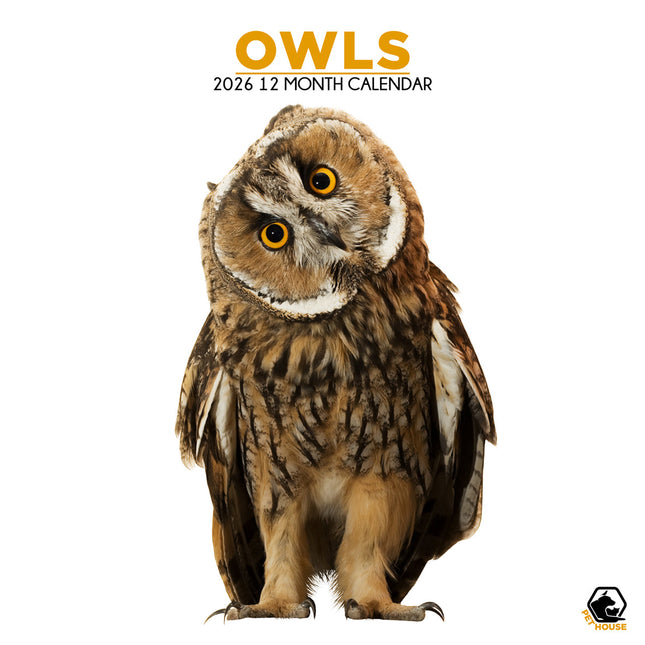 CalendarsRUs Uilen Kalender 2026