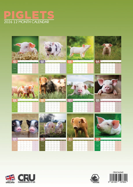 CalendarsRUs Varken A3 Kalender 2026