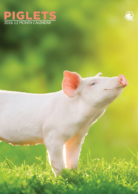 CalendarsRUs Varken A3 Kalender 2026