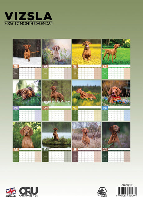 CalendarsRUs Vizsla A3 Kalender 2026