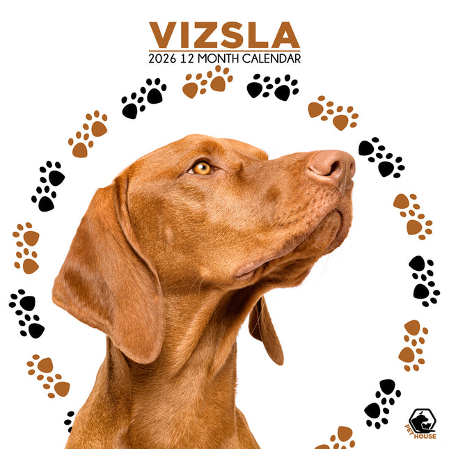 CalendarsRUs Vizsla Kalender 2026