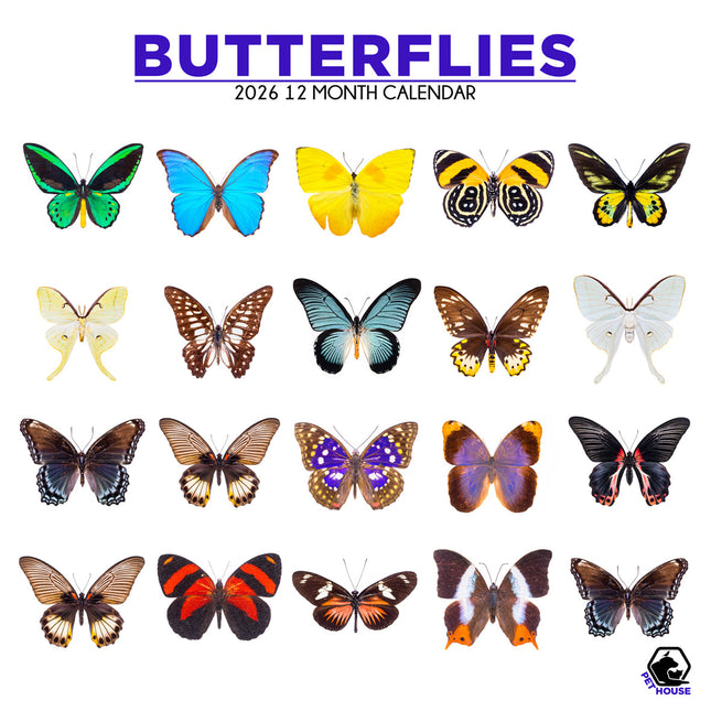 CalendarsRUs Vlinder Kalender 2026