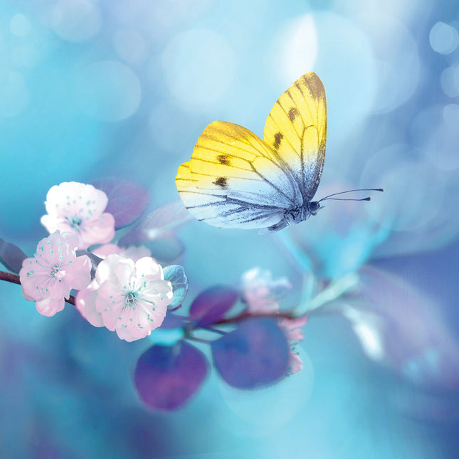 CalendarsRUs Vlinder Kalender 2026