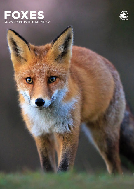 CalendarsRUs Vossen A3 Kalender 2026