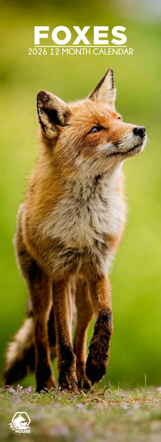 CalendarsRUs Vossen Slimline Kalender 2026